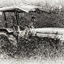 Reflex'82 14 Uschi Halter